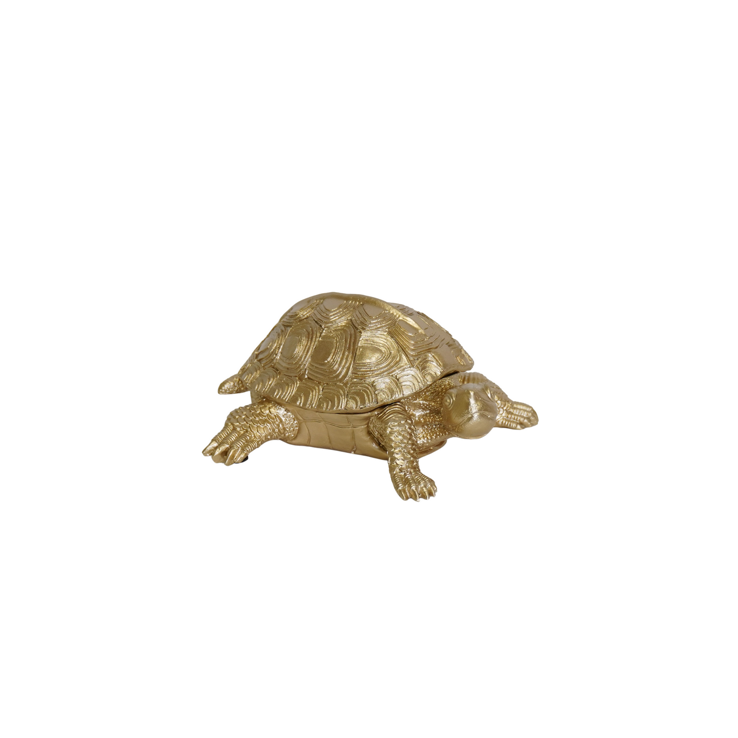 Housevitamin Schildpaddoos - Polyresin - Goud - 15,5x13,5x7,5cm - Home & Garden > Decor