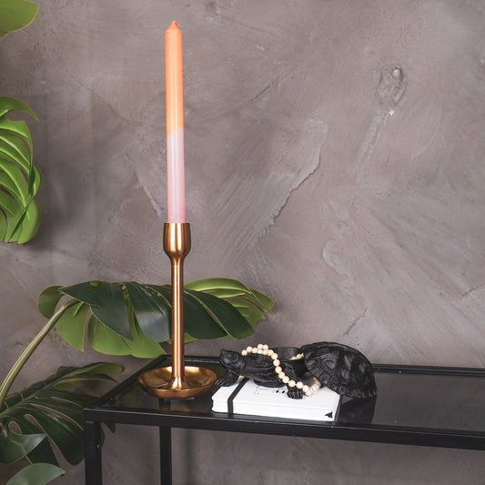 Housevitamin Schildpad Box - Polyresin - Zwart - 15,5x13,5x7,5cm - Home & Garden > Decor