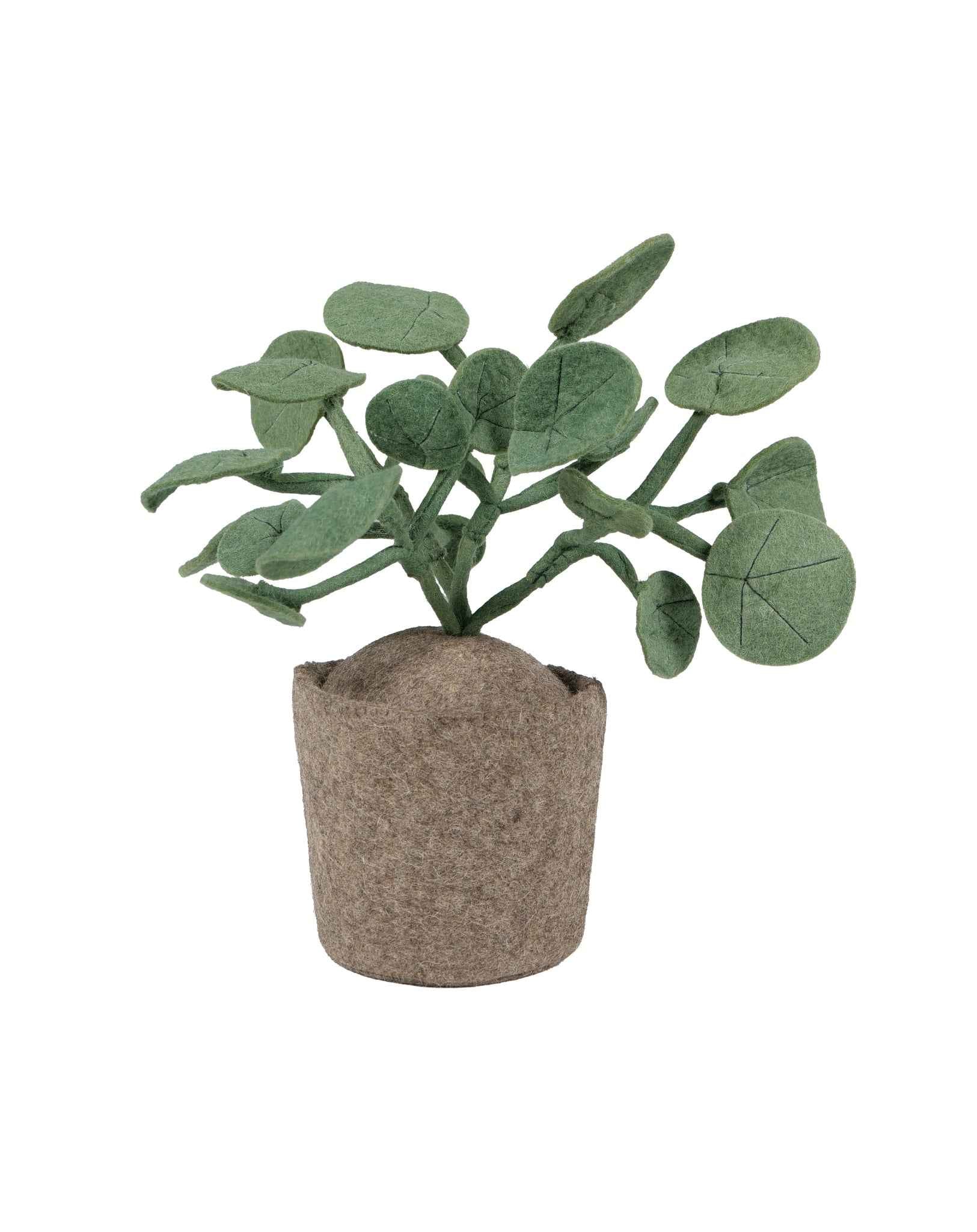 KidsDepot plant Pileo Pepero - Groen