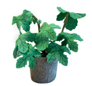 KidsDepot Ficus carica plant in gray pot with green leaves