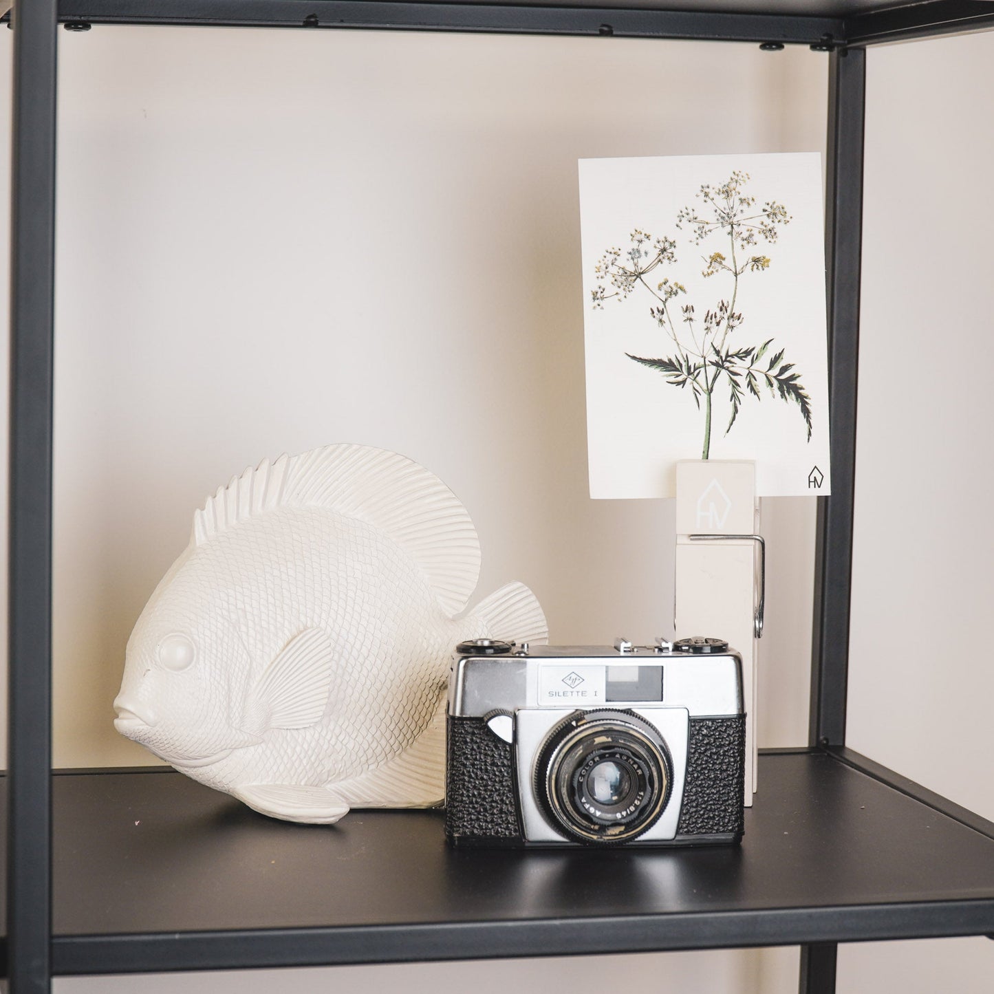 Housevitamin Ornament - Platte Vis - Polyresin - Beige - 19,5x10,5x16cm - Home & Garden > Decor