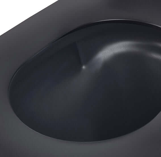 Tornado Flush randloos wandtoilet Wiesbaden matzwart met Flatline Soft Close toiletbril en snelsluiting