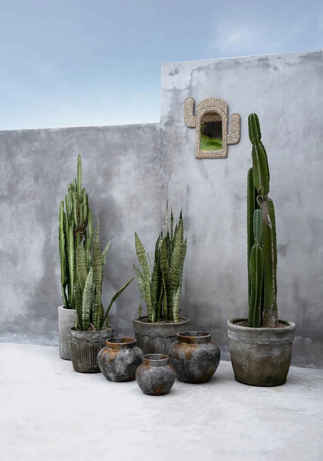 De Cactusschelpspiegel - Wit