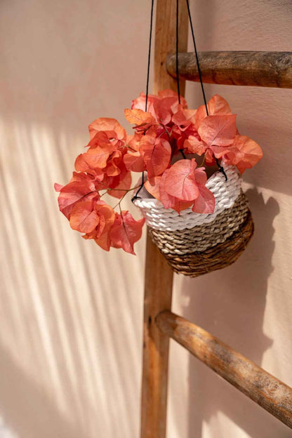 De bananenplantenhanger - natuurlijk wit - S