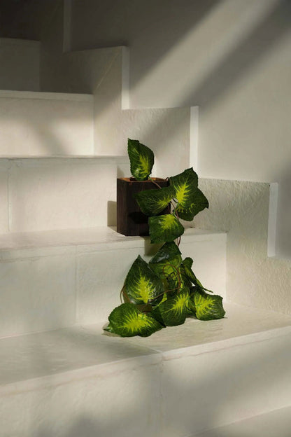 Bazar Bizar De Bondi Vaas - Vierkant - Home & Garden > Decor > Vases