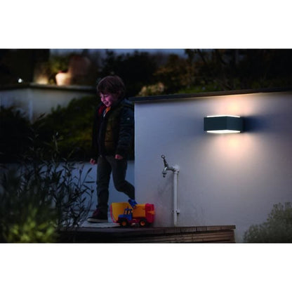 PHILIPS Hedgehog Outdoor Wall Lamp - Anthracite - 1x42W 