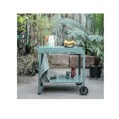 Plancha trolley - LIVOO - GS168V - Groen / Zwart inmpressie