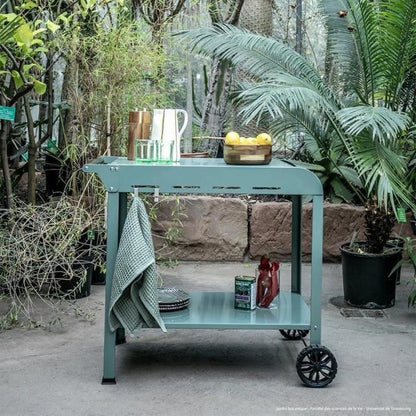 Plancha trolley - LIVOO - GS168V - Groen / Zwart sfeer