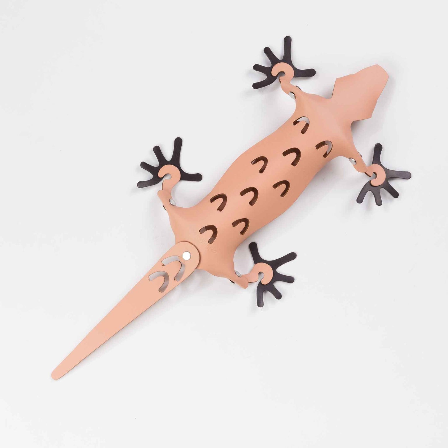 Amigos Organiser Magnetische Hagedis