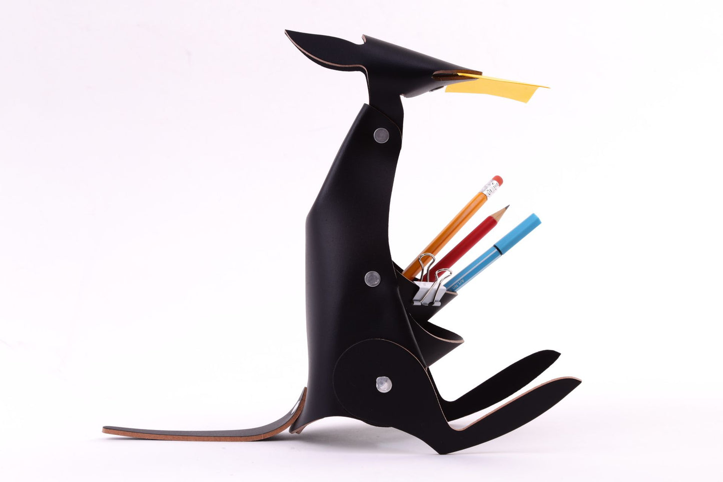 Amigos Bureau-organizer Kangoeroe
