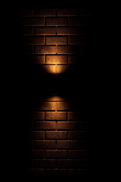 LED's Light RVS LED Muurlamp Buiten - Spot met 2 x GU10 fitting - Model Catania - IP44 - Zilver